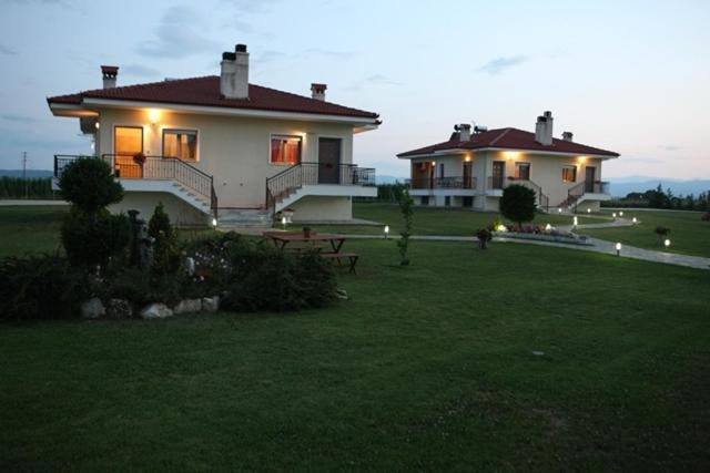 Mouses Kastoria